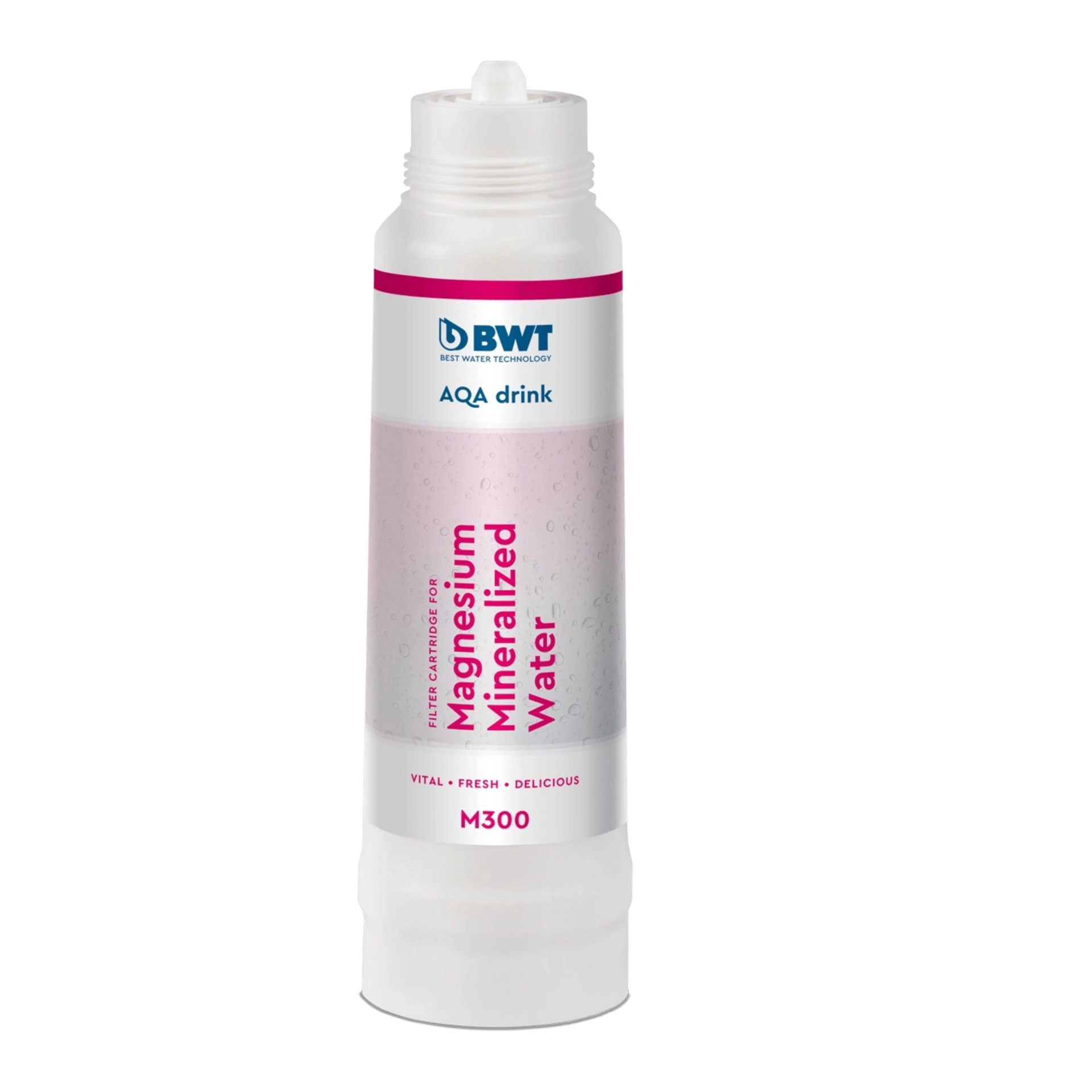 BWT Filter M300